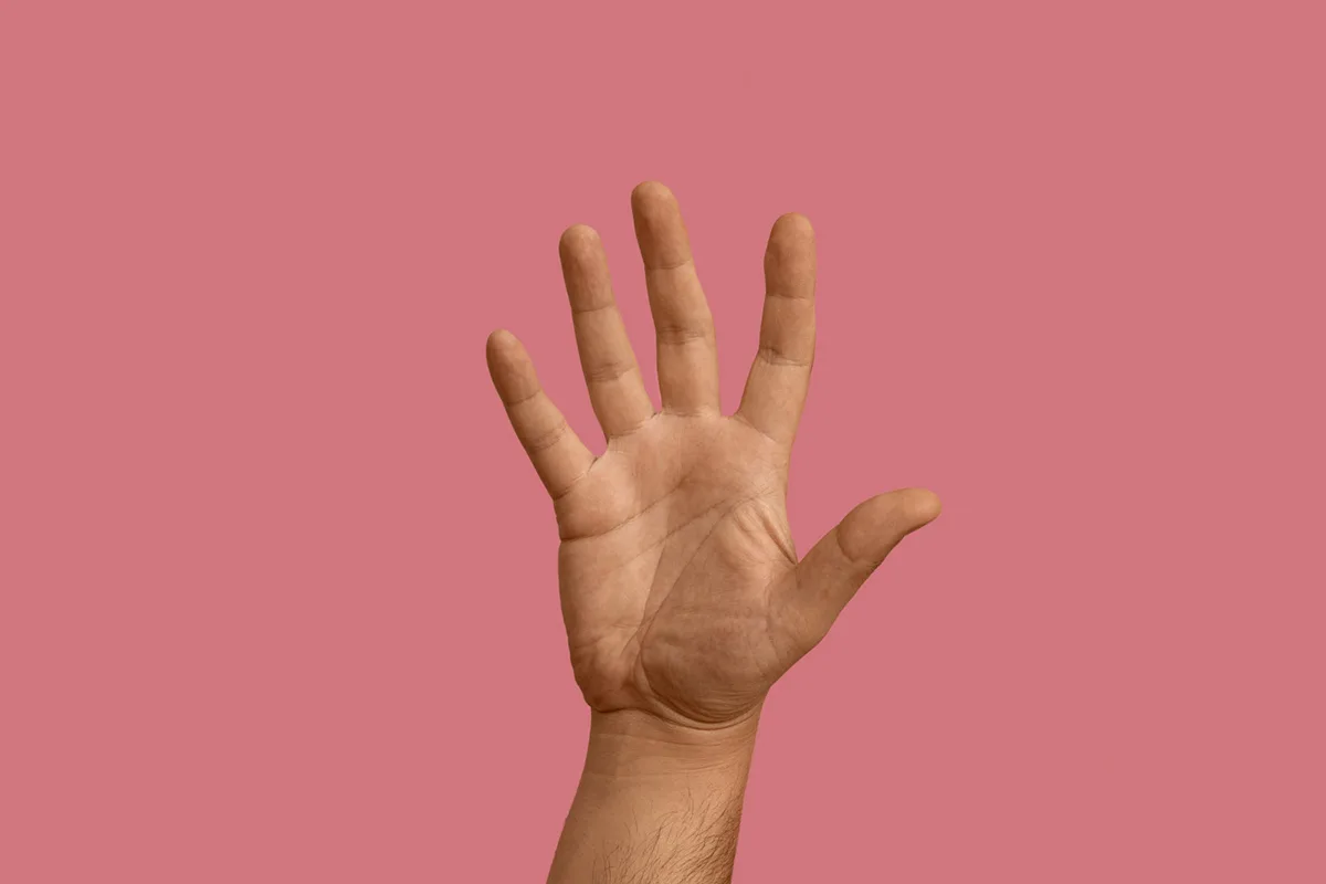 Hand Facts - Your Ultimate Guide to Understanding the Anatomy of the Hand